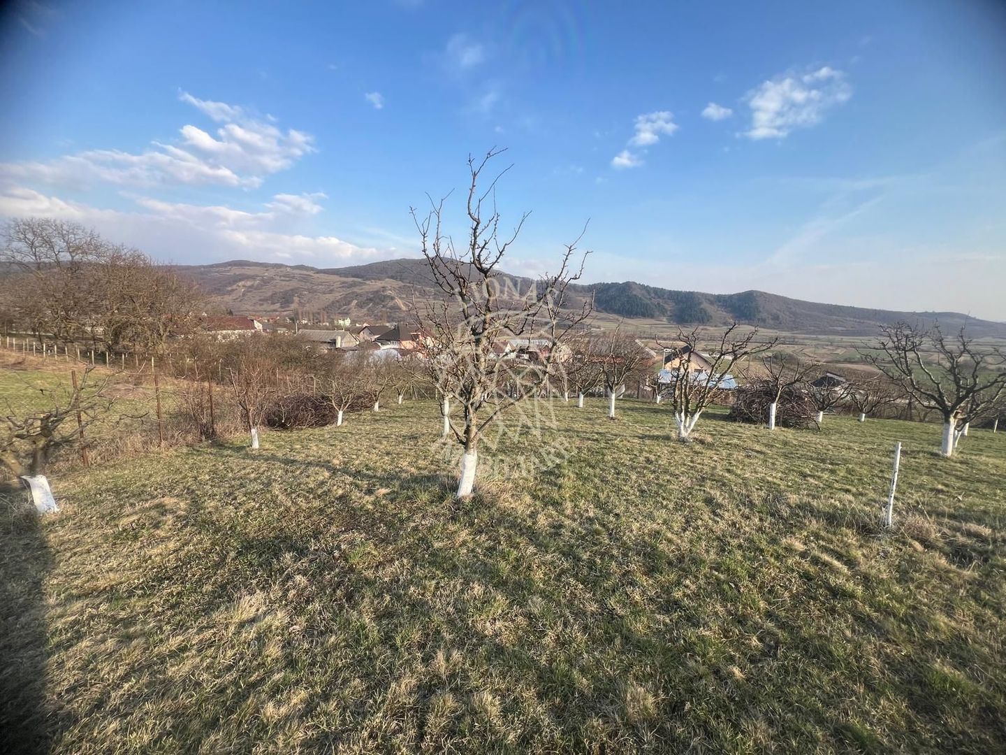 Teren 3100 mp-livada-ideal casa-Mititei - Poză 3