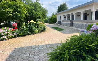 Casa visurilor cu 4000 mp livada roditoare si gradina Darmanesti-Arges - Poză 29