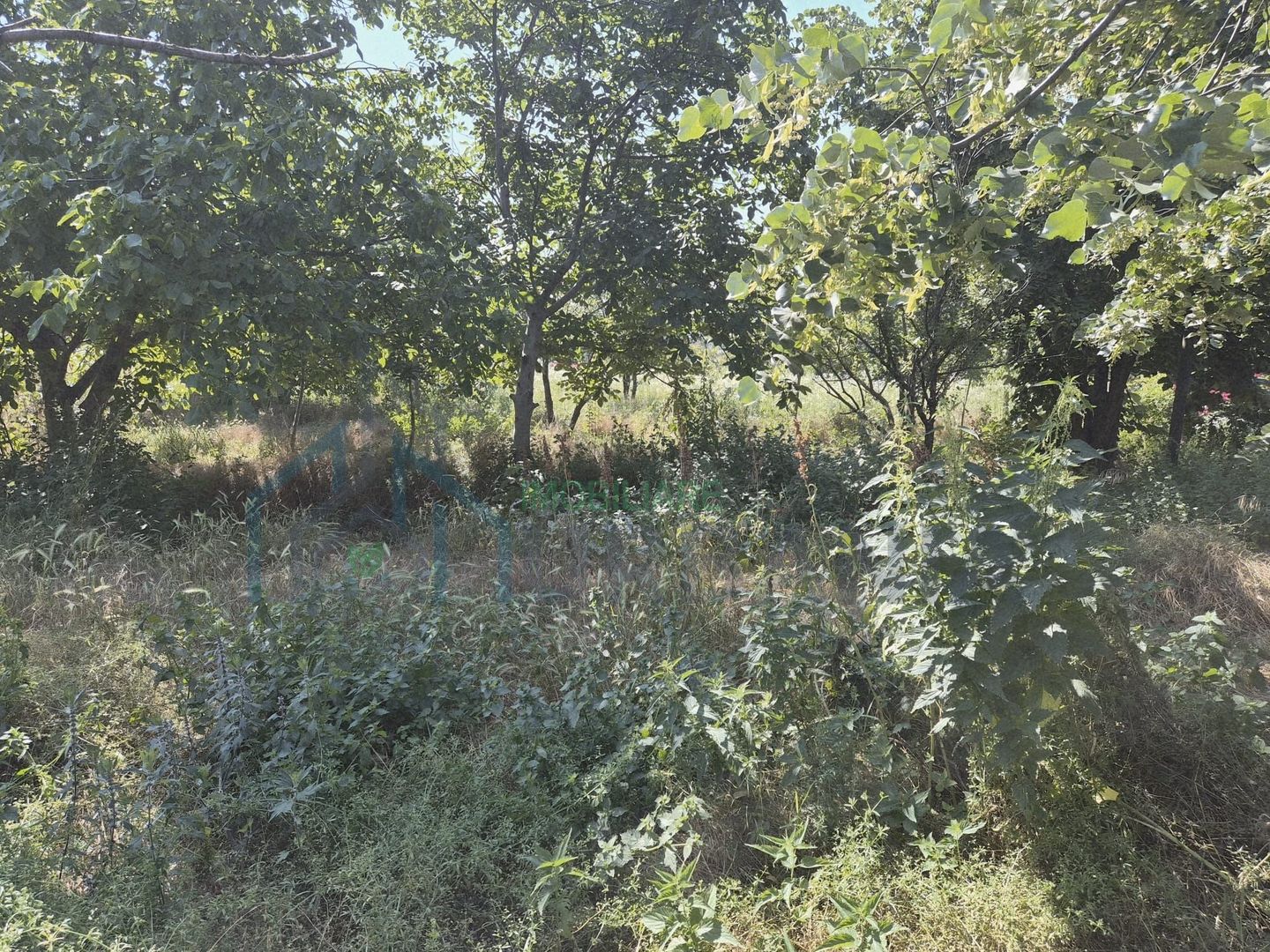 Teren intravilan pentru construcții locuințe, zona Galați, Iași - Poză 2
