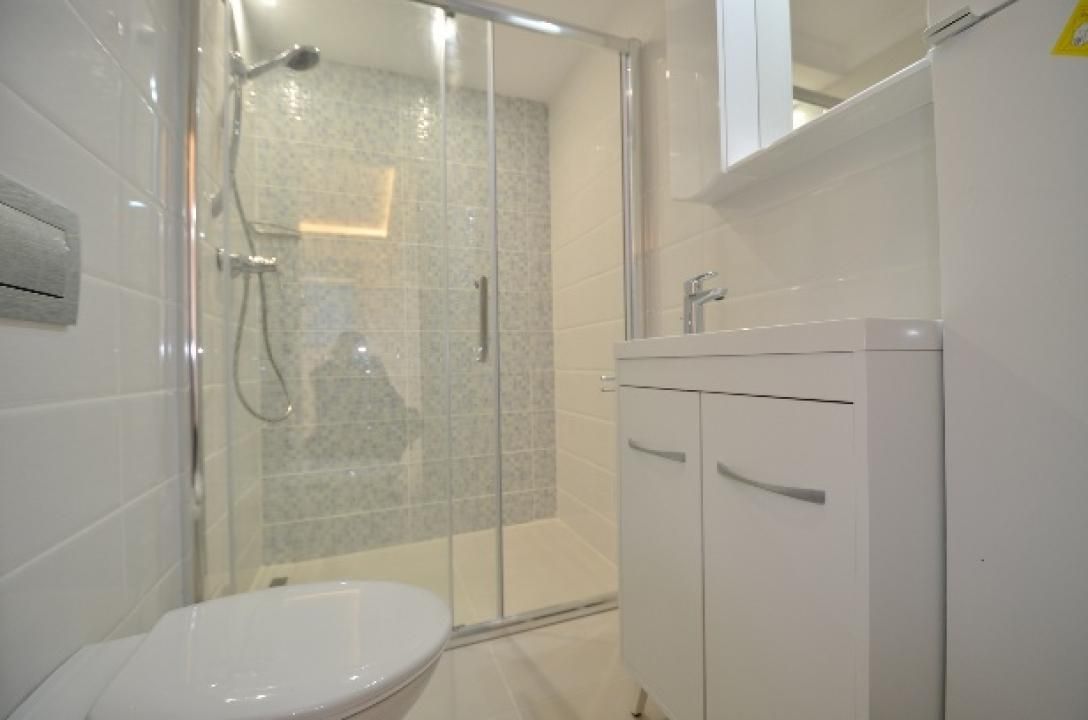 Ion Mihalache (1 Mai)- Ciuperca- Av Popisteanu- Expozitiei- Domenii - Poză 11