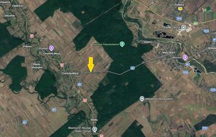 Crevedia Mare - Jud. Giurgiu, teren 5006 mp, deschidere 20 m la DJ 601