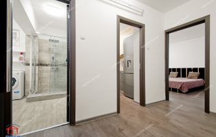 Eleganță, confort într-un apartament renovat, 1 cameră parter Micro20