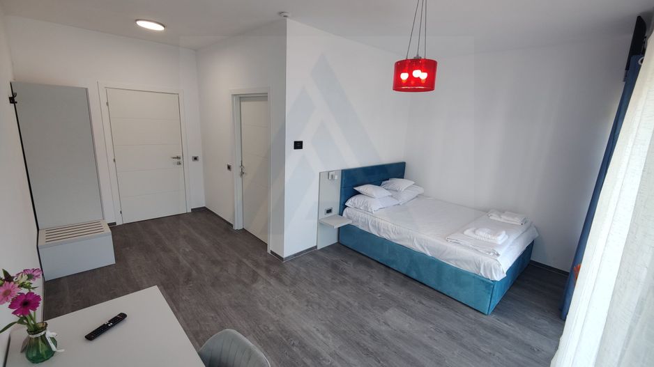 Pensiune 600 mp an 2023 si casa 130 mp teren 4600 mp zona V. Avrigului - Poză 5