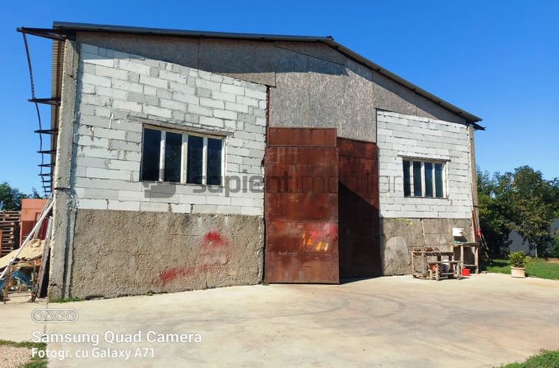 Hala ideala pentru depozitare str.Santaului - Poză 5