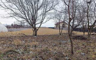 Hala si teren  in Stupini Basov - Poză 3