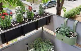 Apartament 2 camere - Poză 6