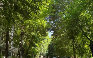 Apartament 2 camere decomandat- Metrou Brancoveanu - Poză 9