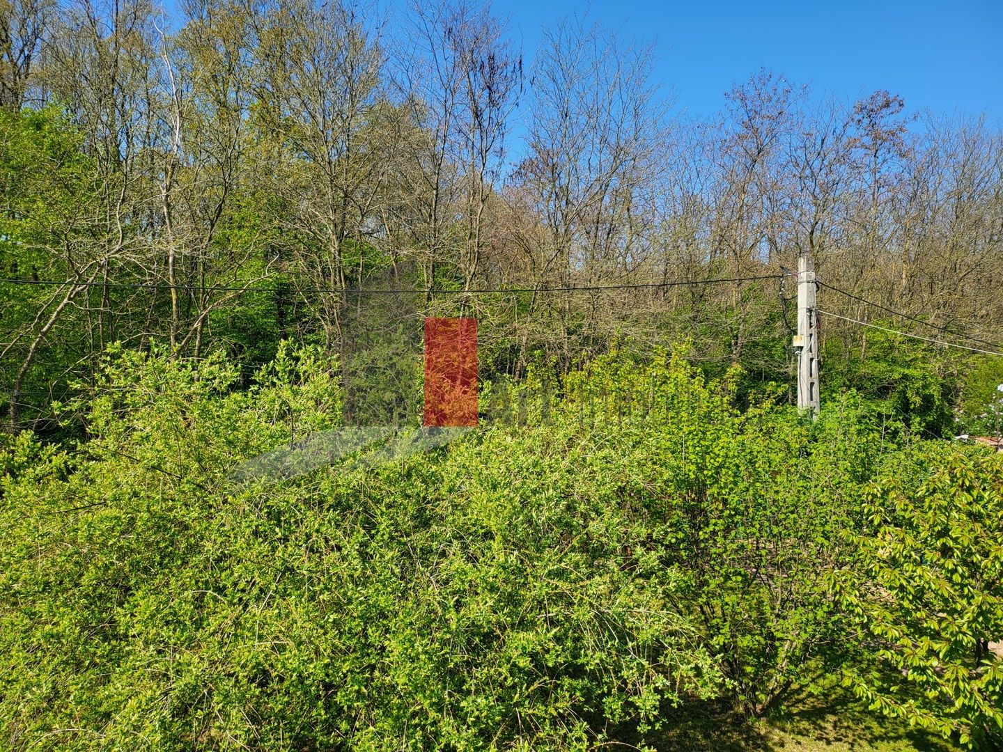 Silistea Snagovului | Casa de vis | Locatia de vis - Poză 7