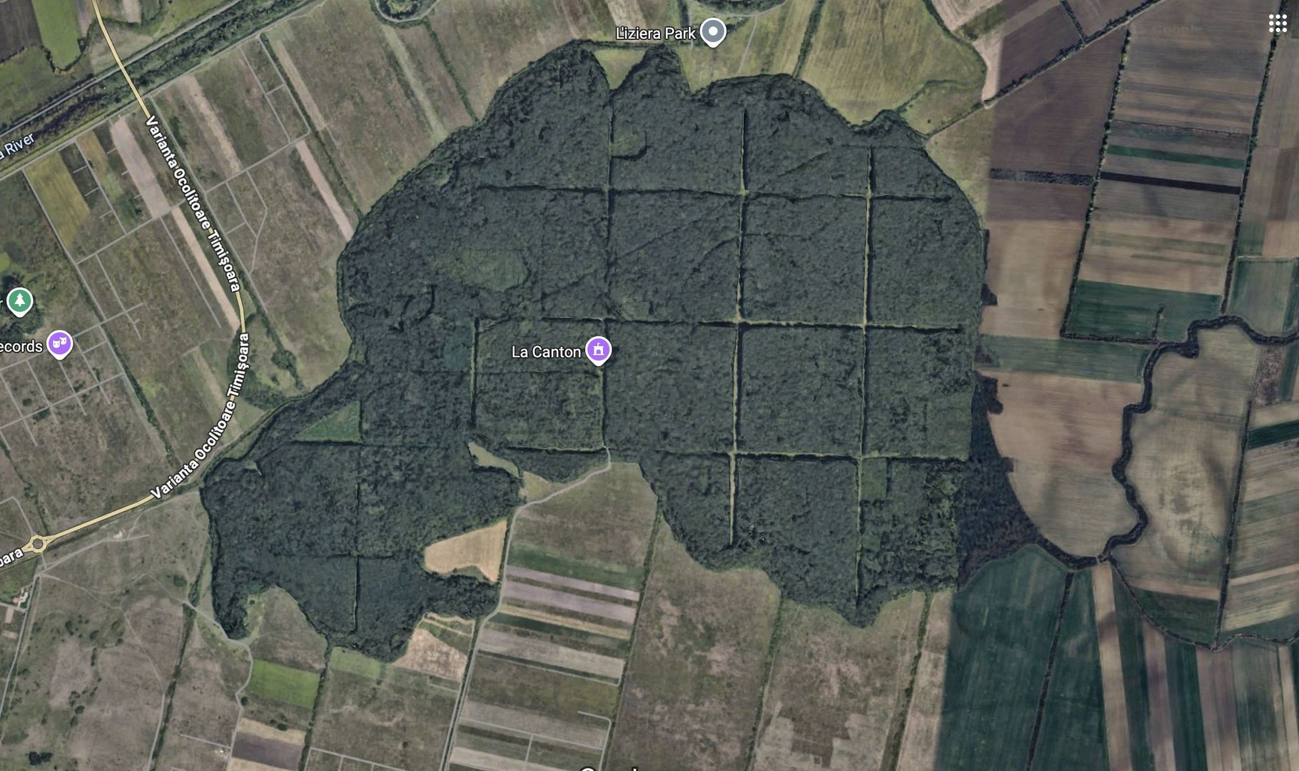 Teren zona Mosnita Padurea Bistra - Poză 3