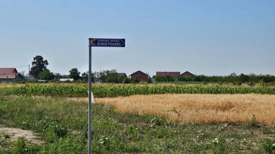 Vanzare teren Bradu - Primarie - Poză 1