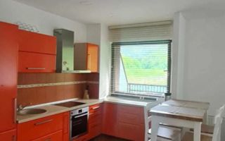 Apartament 2 camere mobilat/utilat - zona Racadau / Tampa Gardens - Poză 4