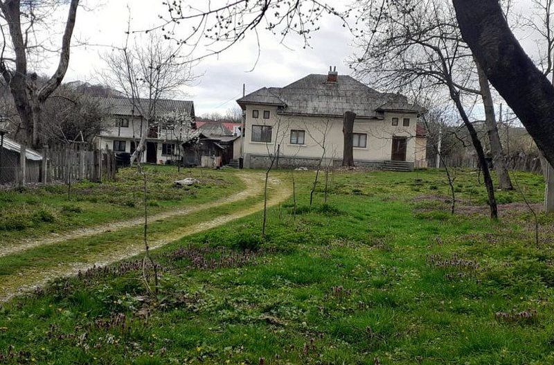 Casa de vanzare Domnesti Arges - Poză 10