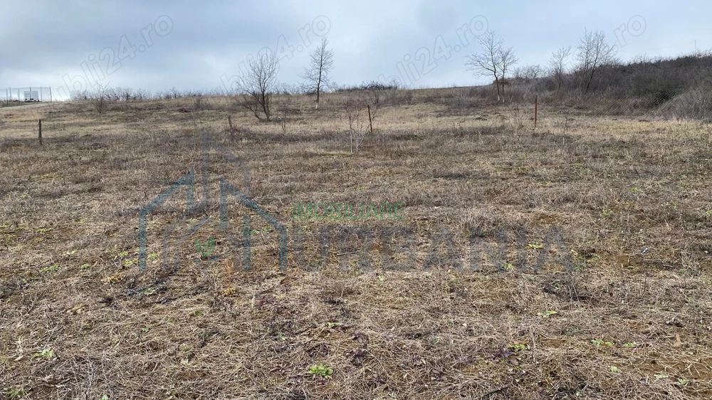 Vând teren extravilan (2026 intravilan) 2500 mp parcelabil zona hlincea lunca cetatuii - Poză 2