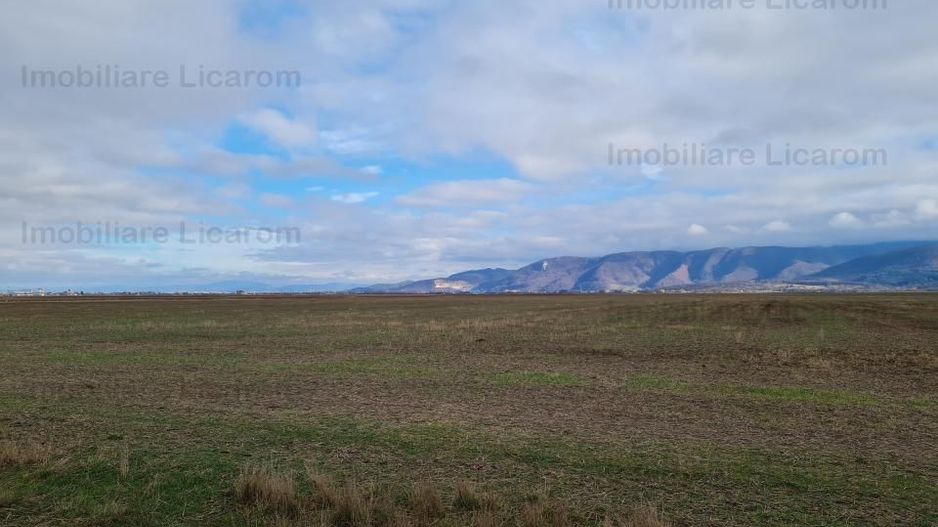 Teren Agricol 2,9 HA,intre Cristian si Vulcan/teren SPORT - Poză 5