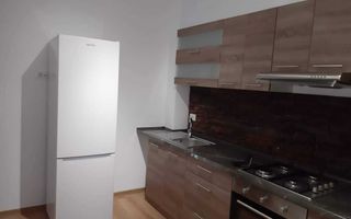 Apartament cu 2 camere și grădină de închiriat, Valea Lupului - Poză 5
