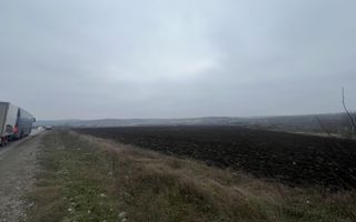 Teren agricol 77 ari, amplasat r-nul Ialoveni la traseul L 458 Piatra Albă-Brăila - Poză 6