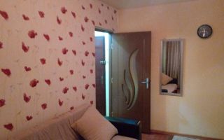 Garsonieră  zona Buziașului la parter - Poză 4