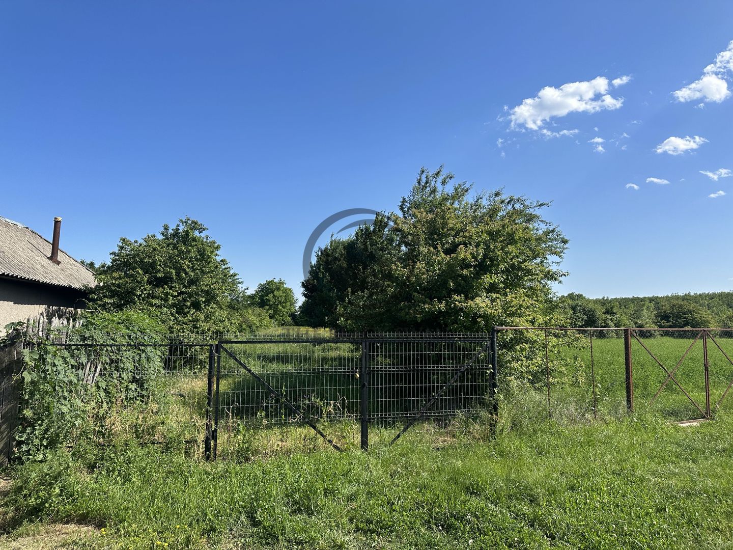 Teren intravilan de vanzare | 11.000 mp | Ghirdoveni | Comision 0% - Poză 3
