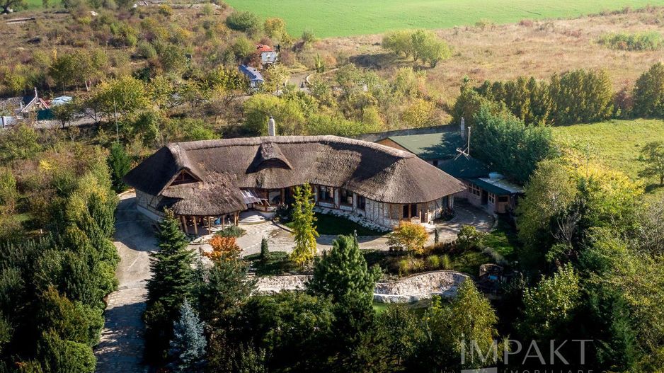 De vanzare casa unica pe teren de 3400mp, cu iaz si gradina - Borhanci - Poză 26