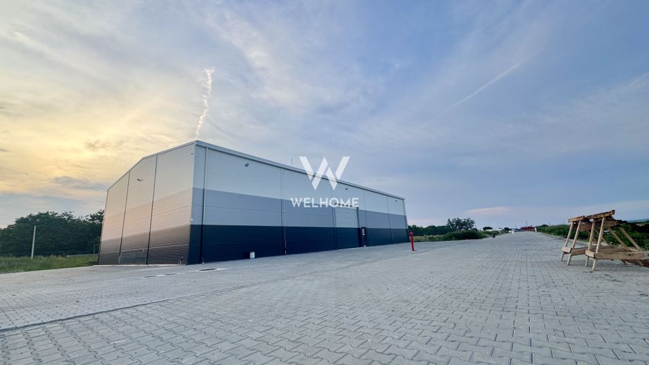 Hala noua si teren de inchiriat, parc industrial nou, ideal IMM, - Poză 11