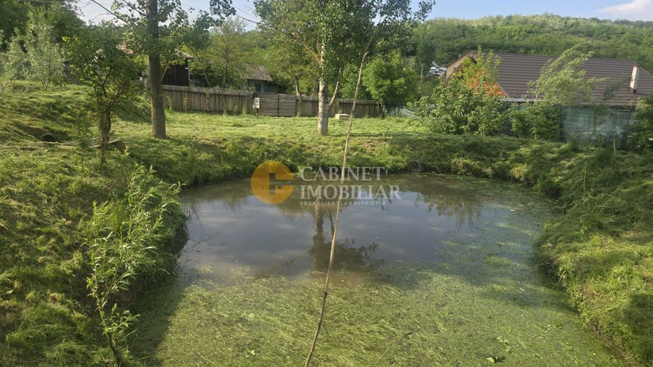 Oază de liniște și natură! Casă  cu 2 heleșteie și pârâu în curte – Probota - Poză 9