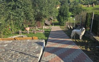 Pensiune 10 camere cu restaurant // teren 900 mp // Moieciu de Jos - Poză 7