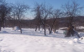 Casa Renovata 3 camere 115 mp-teren 1,5 Ha-Sat Mures, 15 km de Beclean - Poză 3