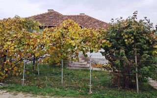 CASĂ SI TEREN BAIA DE FIER - Poză 2