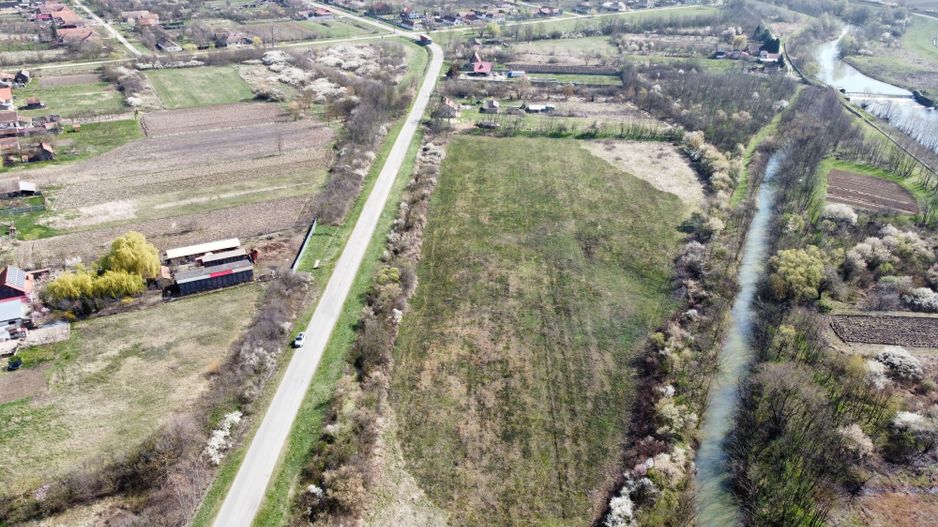 Teren intravilan Balint 22.500 mp - Poză 1