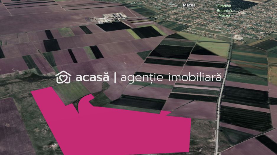 Teren 42 ha pentru parc fotovoltaic – Macea, Arad - Poză 1