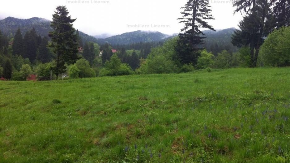 Teren intravilan Cotul Donului,pretabil Hotel/pensiune. - Poză 6