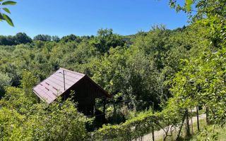 Teren intravilan 650- 669 mp de vânzare – Strada Dâmbului Bistrita - Poză 6