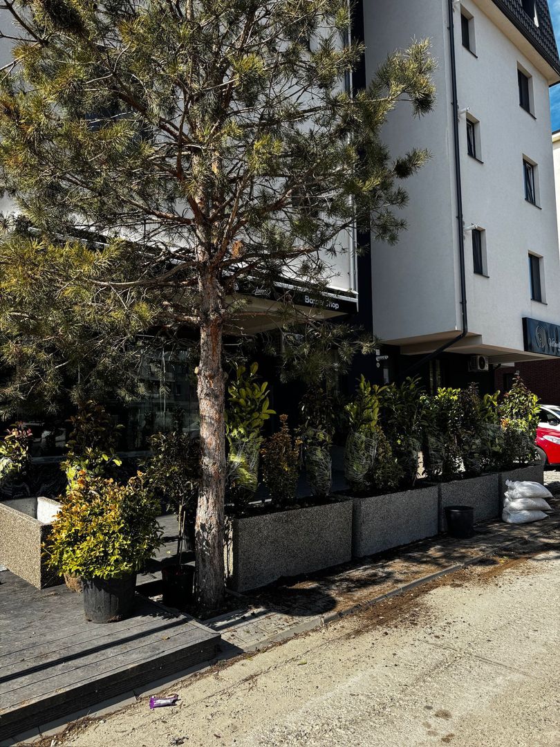 Spatiu Cafenea sau Bar cu Terasa Mare Otopeni 23August Luxor Residence - Poză 11