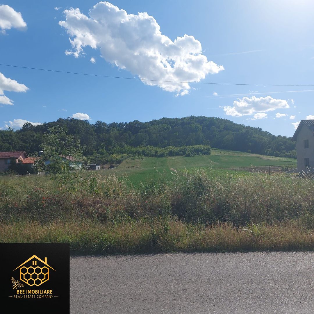 2 parcele teren intravilan, 1200 mp - Mihaita - Cotofenii din Dos - Poză 4