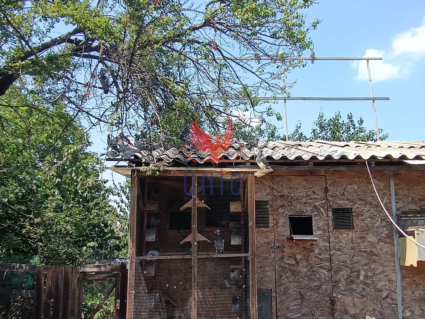 Teren 980 mp, 2 deschiderizona Drumul Muntenilor pret excelent - Poză 5