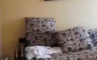 Apartament 2 camere de inchiriat, Iasi - Zona Dimitrie Cantemir - Poză 7