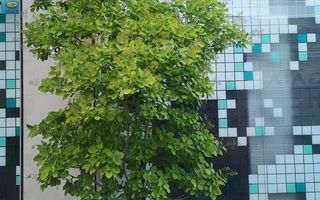 Cladire ultramoderna de birouri I 1.350mp I Ultracentral I COMISION 0% - Poză 38