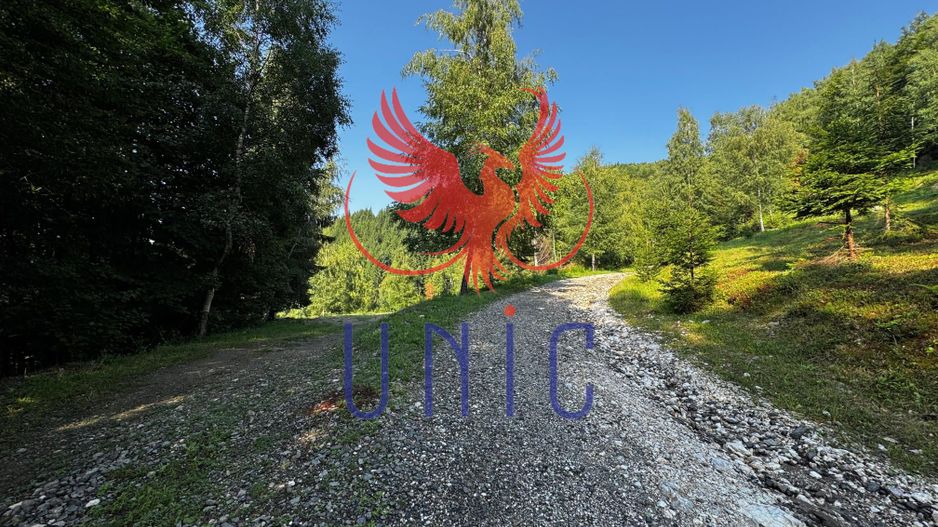 18000 mp de natura pura ,Lupeni, langa Straja - Poză 26