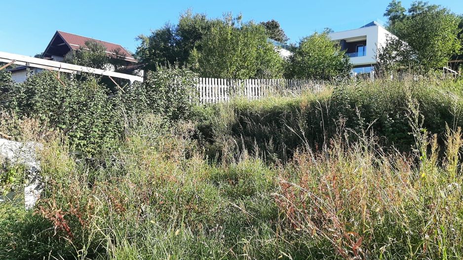 Teren de vanzare in Feleacu - Poză 2