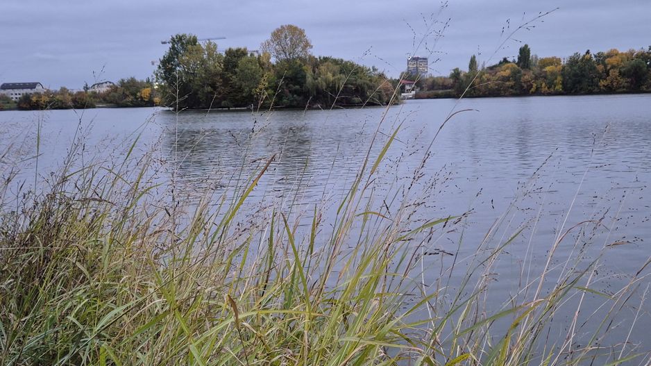 Green Lake | Lacul Baneasa | Sisesti | Vila cu 4 apartamente - Poză 26