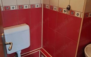 Spatiu comercial - Brâncoveanu - Poză 7