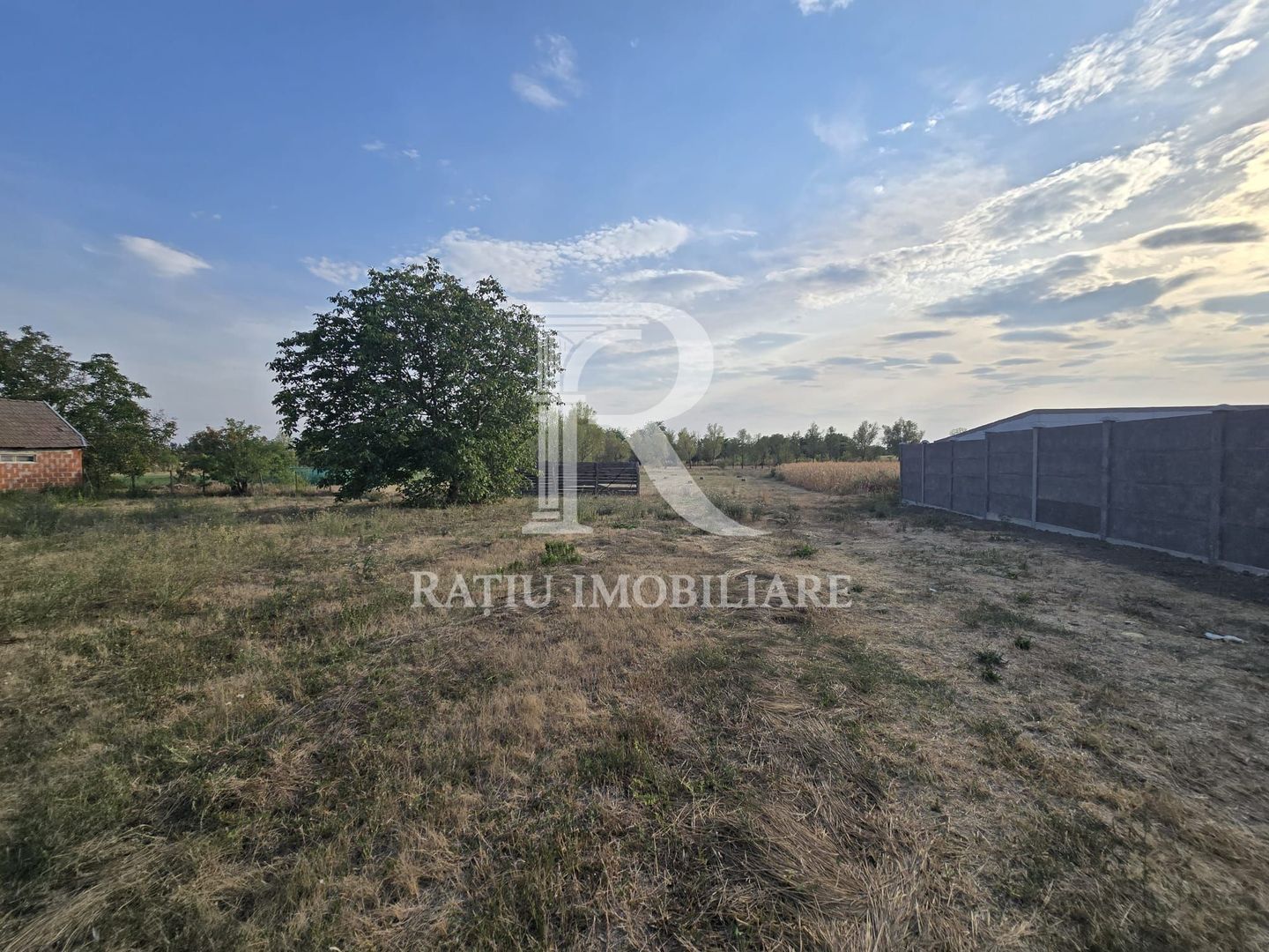 Teren intravilan 6.514mp | 39m front stradal | Ciocaia | Săcuieni - Poză 2