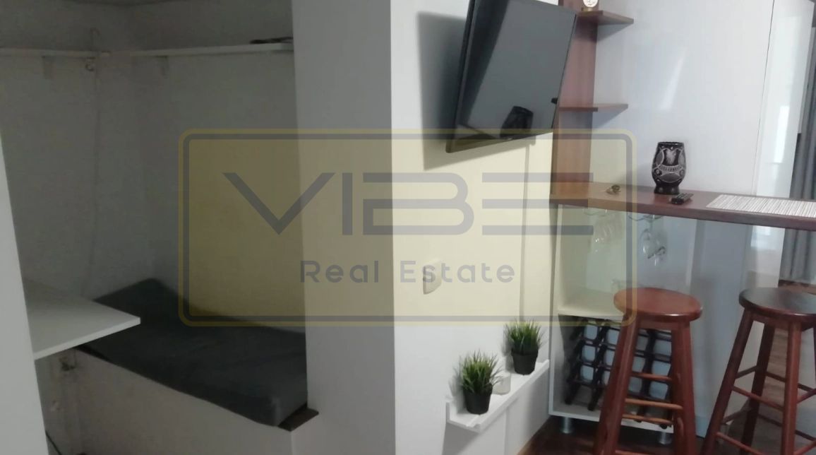 Popas Pacurari- Casa Auto Dacia - Apartament 1 camera - Parcare privata - Poză 2