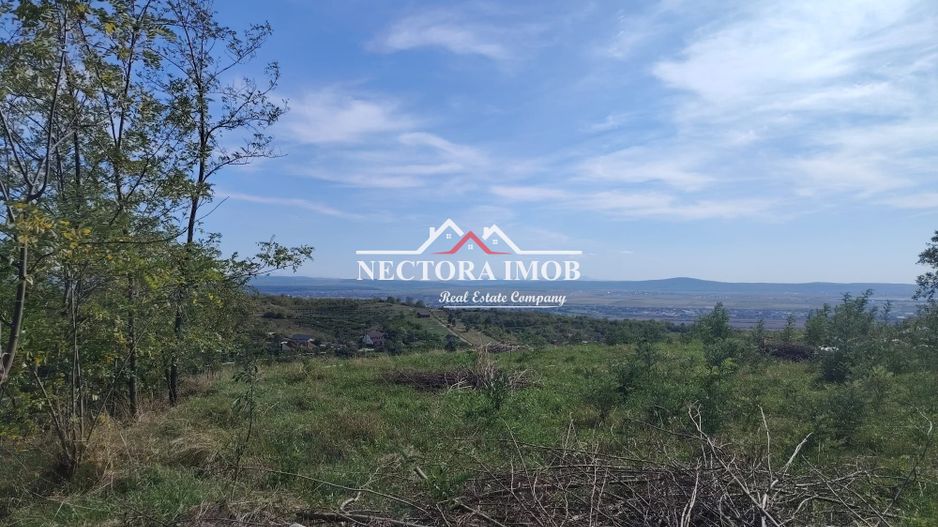 NECTORA IMOB-Teren Saldabagiu de Munte, 2350 mp, 21 ml front stradal - Poză 4