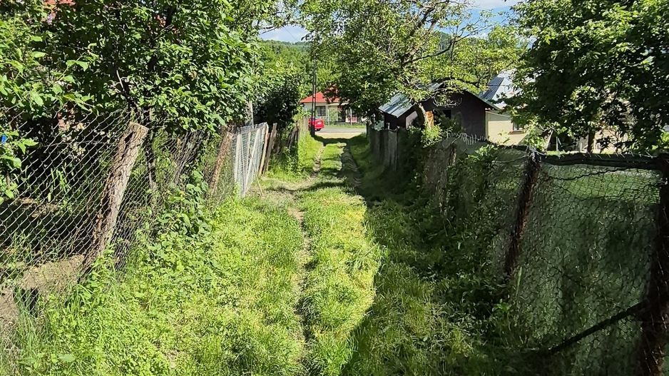 Teren intravilan 1290 mp Plaiu-Provita de Sus - Poză 6