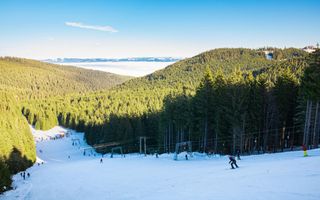 Teren 4,46 ha pentru resort / cabane – Vatra Dornei, intravilan + extr - Poză 5