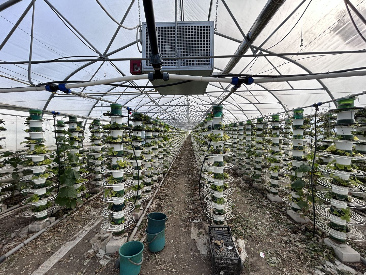 De vanzare-afacere la cheie - Poză 7