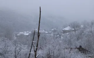 Teren de vanzare I izvor apă minerală  Dangești I 2 Hectare - Poză 13