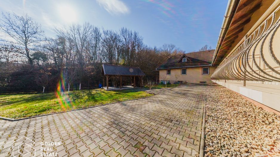 Proprietate pretabila pentru afacere, Cladova - Poză 37