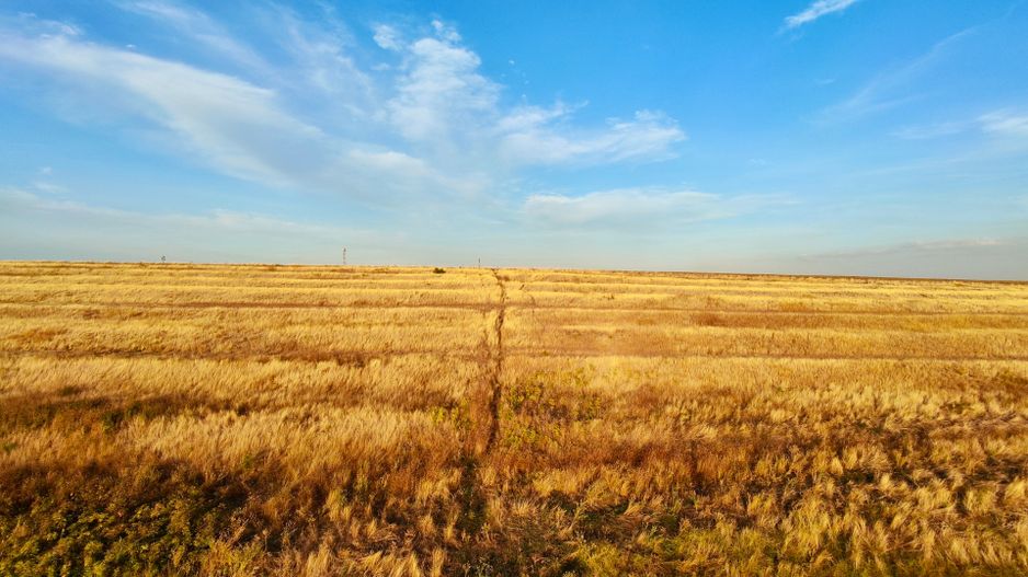 Teren Daia 75000 mp cu balta 30000 mp izvoare - Poză 3